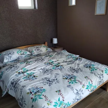 Hit Apartmani Pacir Exterior photo